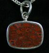 Agatized Dinosaur Bone & Gibeon Meteorite Pendant #7888-1